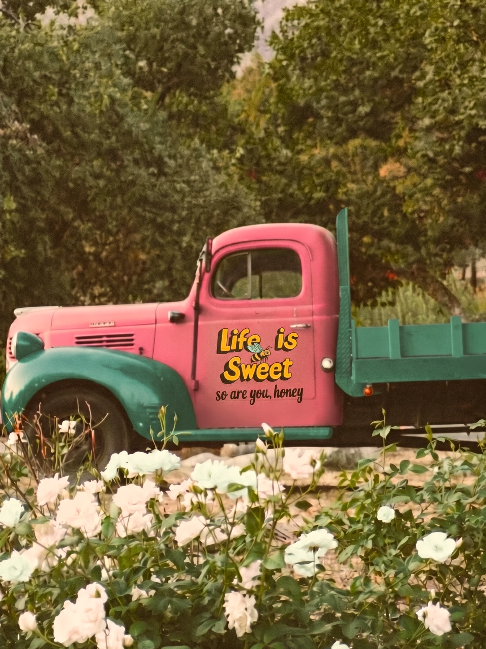 A vintage pink and teal Life is Sweet truck parked among white roses